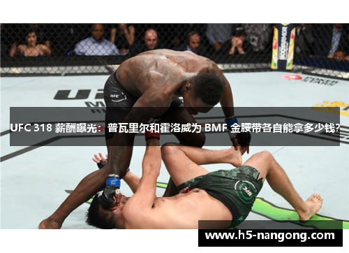 UFC 318 薪酬曝光：普瓦里尔和霍洛威为 BMF 金腰带各自能拿多少钱？